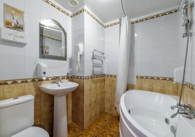 Фотография номера гостиницы АМАКС Парк-отель