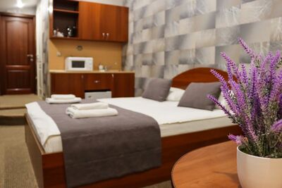 Фотография номера мини отеля Старый Дом