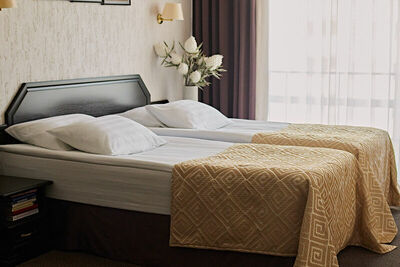 Фотография номера гостиницы Граф Толстой