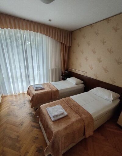 Фотография номера гостиницы Дружба