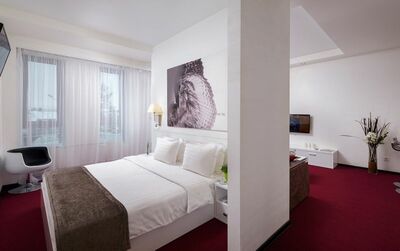 Фотография номера гостиницы City Hotel Sova