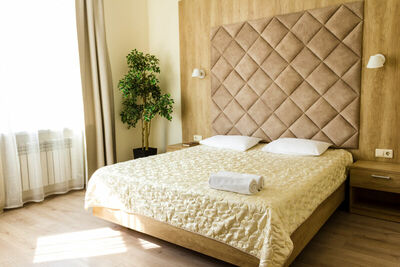 Фотография номера гостиницы Аристоль