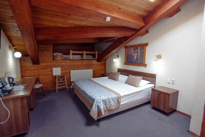 Фотография номера гостиницы Алёша Попович двор