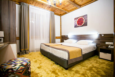 Фотография номера гостиницы Горячие ключи