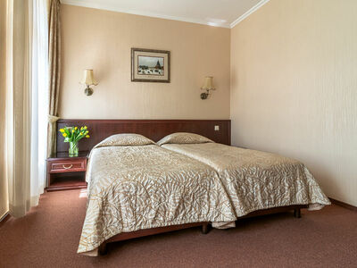 Фотография номера гостиницы Шереметьевский Парк-отель