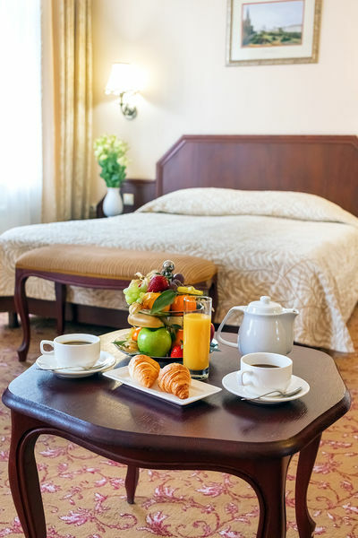 Фотография номера гостиницы Шереметьевский Парк-отель