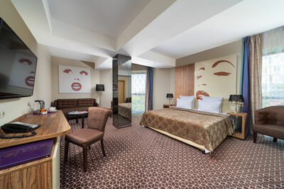 Фотография номера гостиницы Денарт