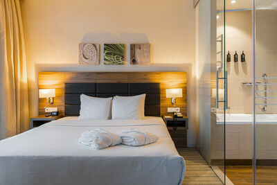 Фотография номера гостиницы Four Elements Kirov