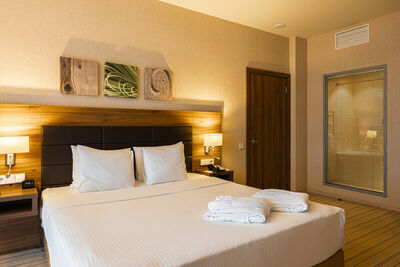 Фотография номера гостиницы Four Elements Kirov