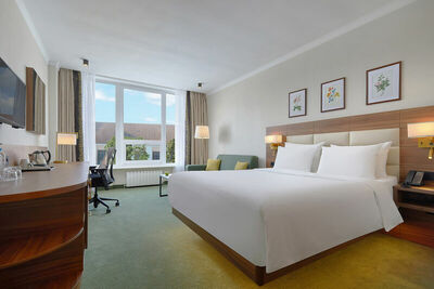Фотография номера гостиницы Hilton Garden Inn Kaluga