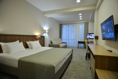 Фотография номера гостиницы Альфа