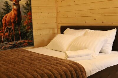 Фотография номера гостиницы Сокол