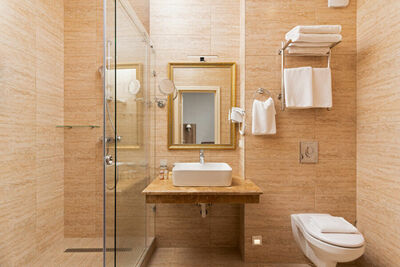 Фотография номера гостиницы Отель Трианон