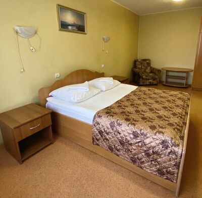 Фотография номера гостиницы Патриот