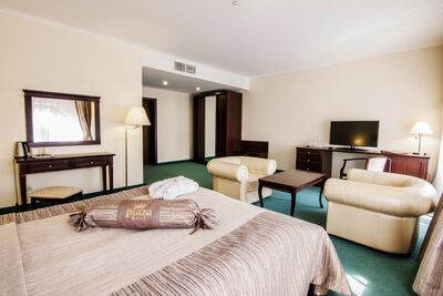 Фотография номера гостиницы Плаза