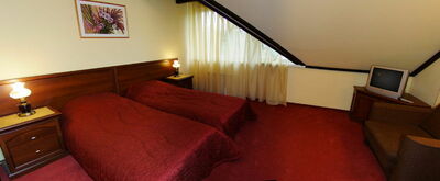 Фотография номера гостиницы Золотая орхидея