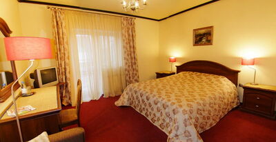 Фотография номера гостиницы Золотая орхидея