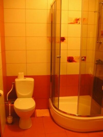 Фотография номера гостиницы Золотая орхидея