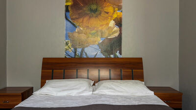 Фотография номера гостевого дома Сар-Герел Алтая