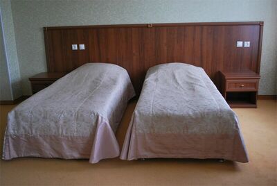 Фотография номера санатория Зеленая Роща