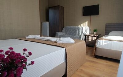 Фотография номера гостиницы Фламинго