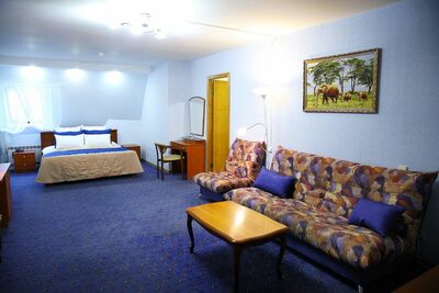 Фотография номера гостиницы Континент