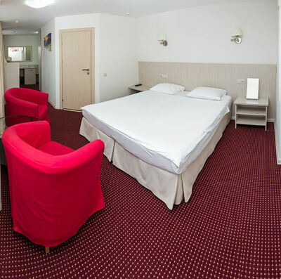 Фотография номера гостиницы Аэротель