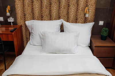 Фотография номера гостиницы Африка