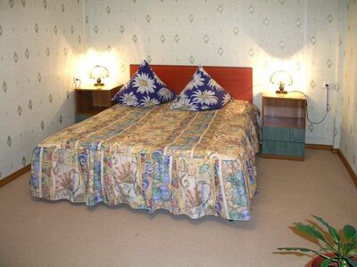 Фотография номера гостиницы Звездный