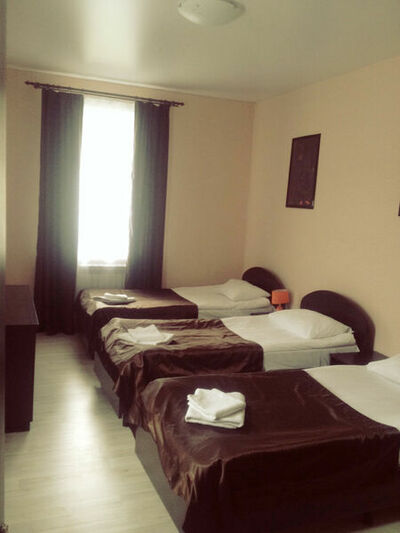 Фотография номера гостиницы Базилик Данков