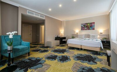 Фотография номера гостиницы Парк-Отель Кулибин