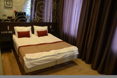 Фотография номера гостиницы Летучая мышь