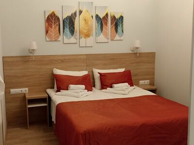 Фотография номера гостиницы Летучая мышь