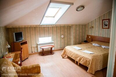 Фотография номера гостиницы Летучая мышь