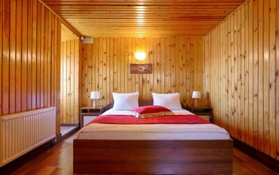 Фотография номера гостиницы Лукоморье