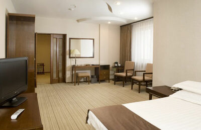 Фотография номера гостиницы Сагаан Морин