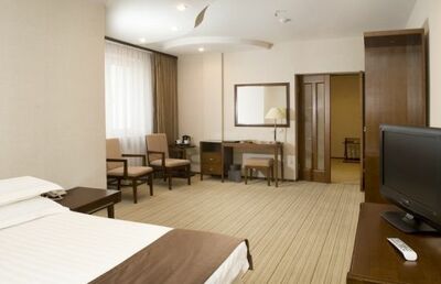 Фотография номера гостиницы Сагаан Морин